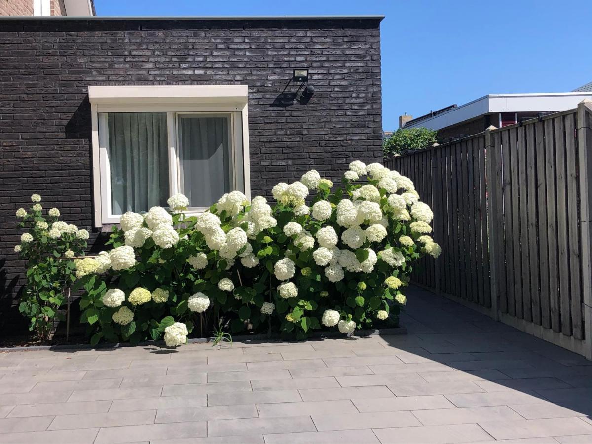 Zoutelande Koddelaan Vakantiewoning Kültér fotó