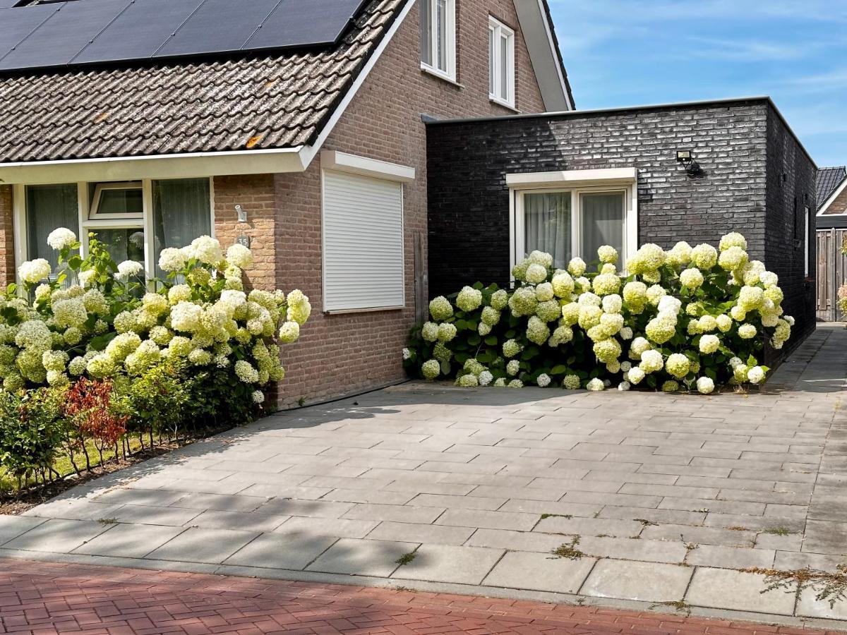 Zoutelande Koddelaan Vakantiewoning Kültér fotó