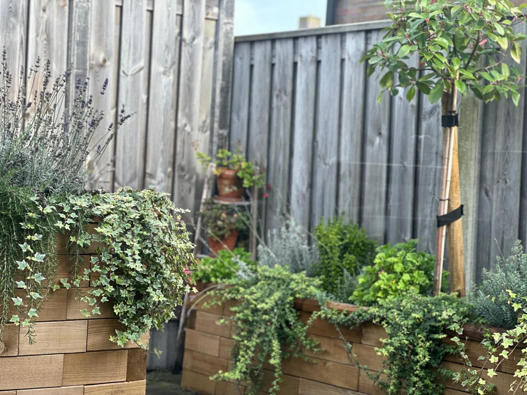 Zoutelande Koddelaan Vakantiewoning Kültér fotó