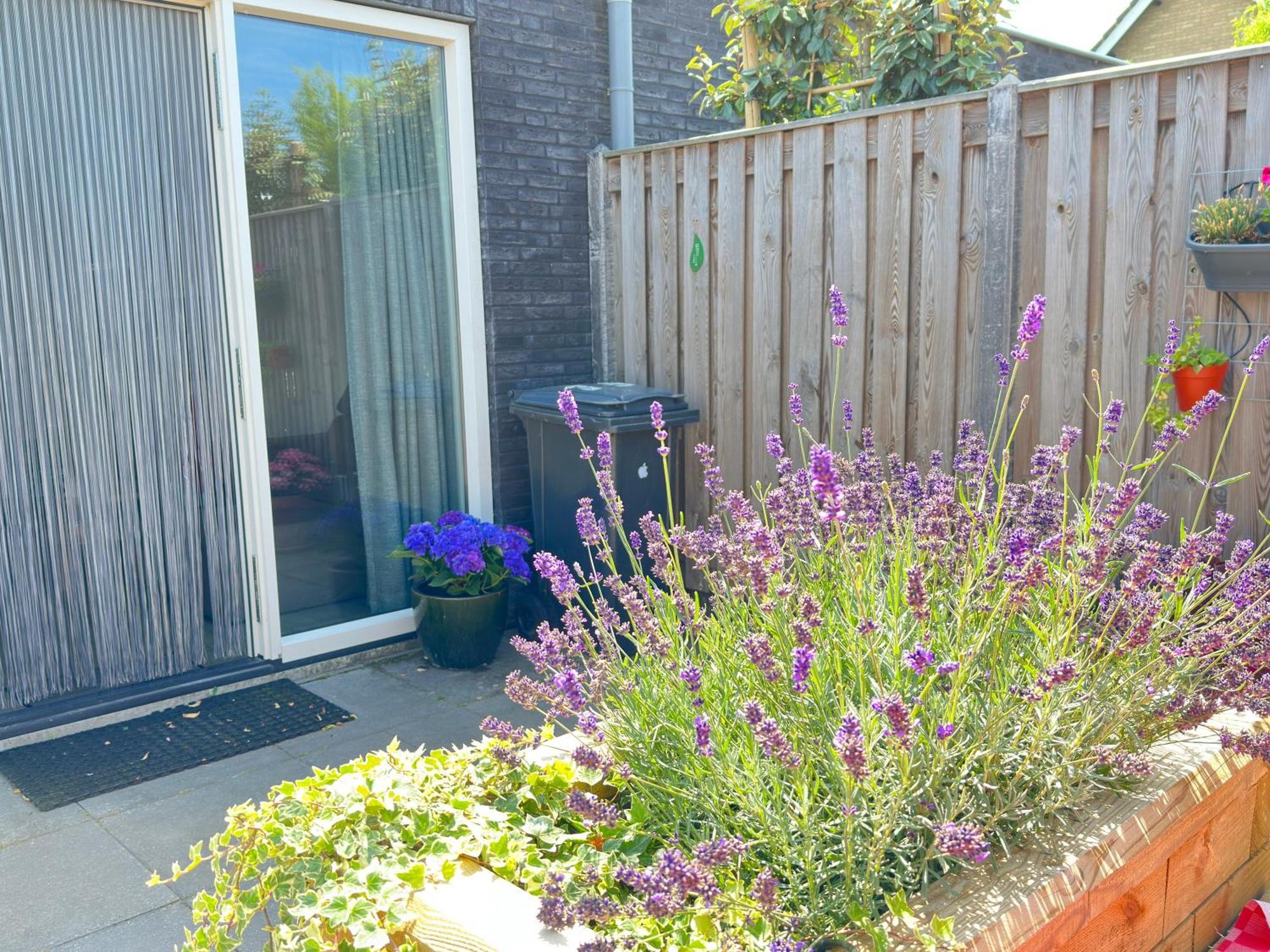 Zoutelande Koddelaan Vakantiewoning Kültér fotó